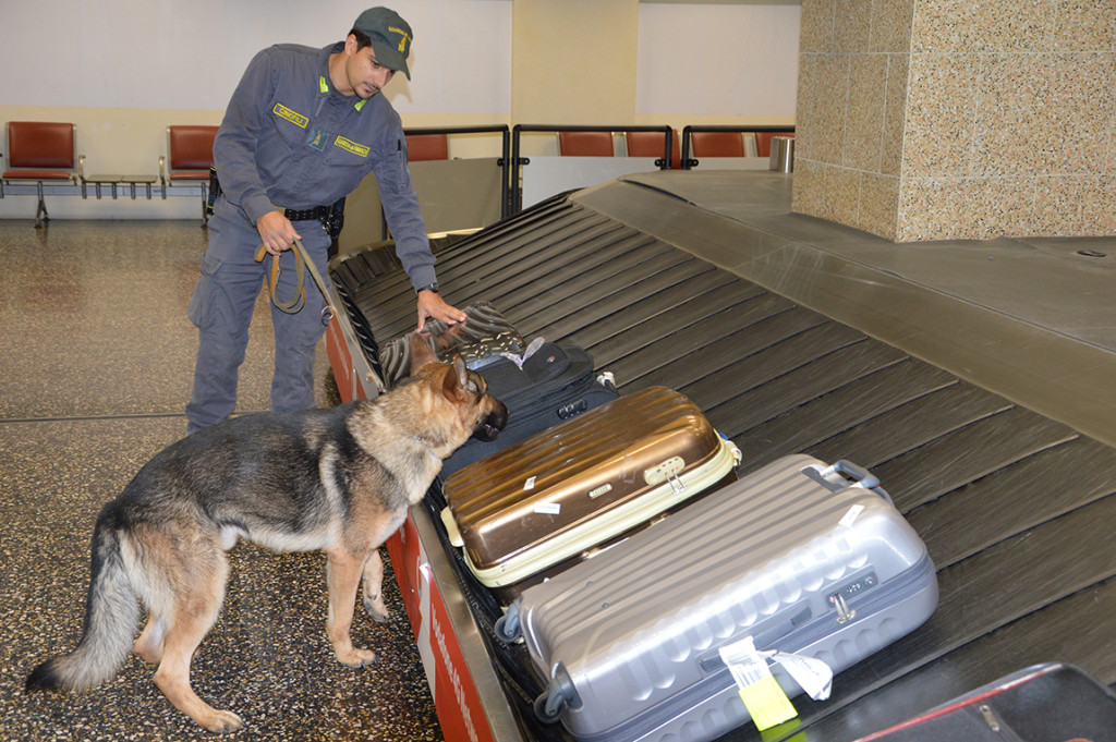 Malpensa, maxi-operazione "Carioca": arrestati 8 narcotrafficanti e 7,5kg di cocaina