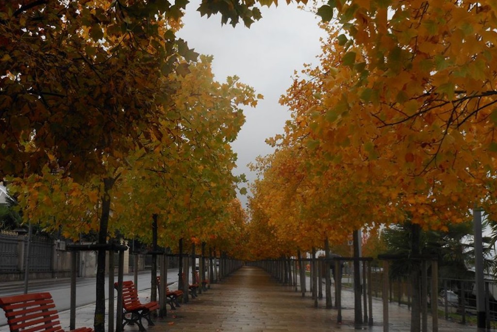 Un buongiorno autunnale con la foto di Antonella Bonora, viale Dante a Luino