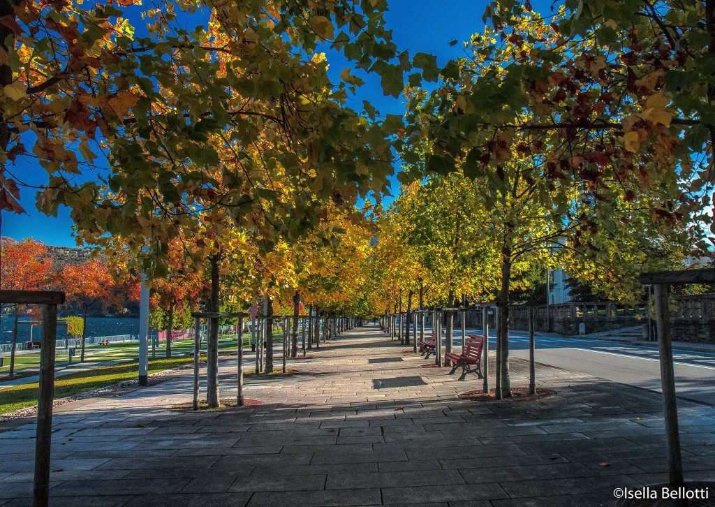 Un buongiorno autunnale con la foto di Isella Bellotti in viale Dante a Luino