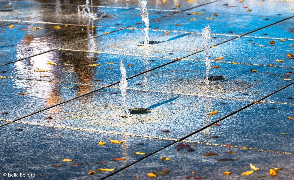 Buongiorno a tutti con questa bella foto autunnale, dove l'ha scattata Isella Bellotti?
