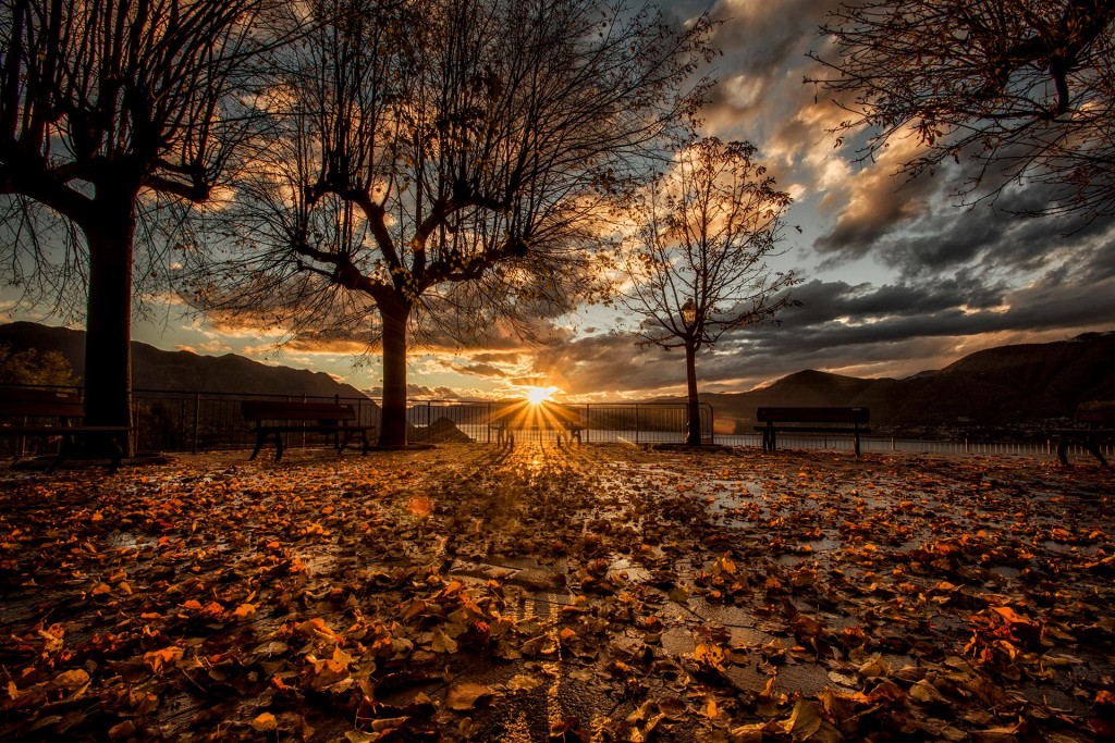 Un buongiorno e buona settimana a tutti con la foto del giorno di Alessandro Bordin