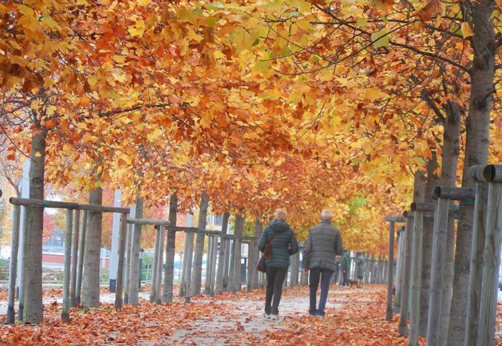 La tranquillità dell'autunno, nella foto del giorno di Antonella Bonora