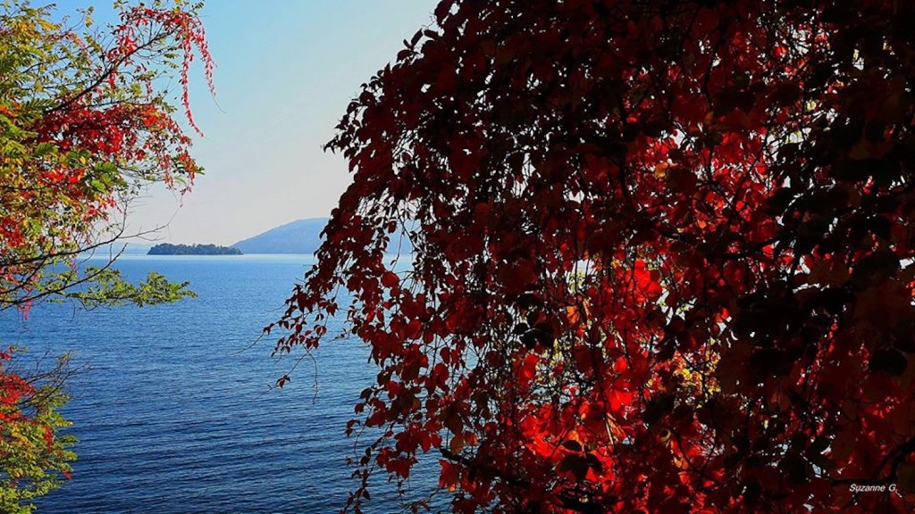 Buongiorno con la foto del giorno di Suzanne Vevey, "Colori d'autunno sul lago Maggiore"