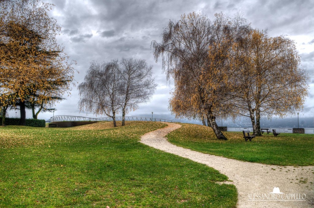 Buongiorno con la foto del giorno di Alessandro Cappello, "Il Boschetto di Germignaga"