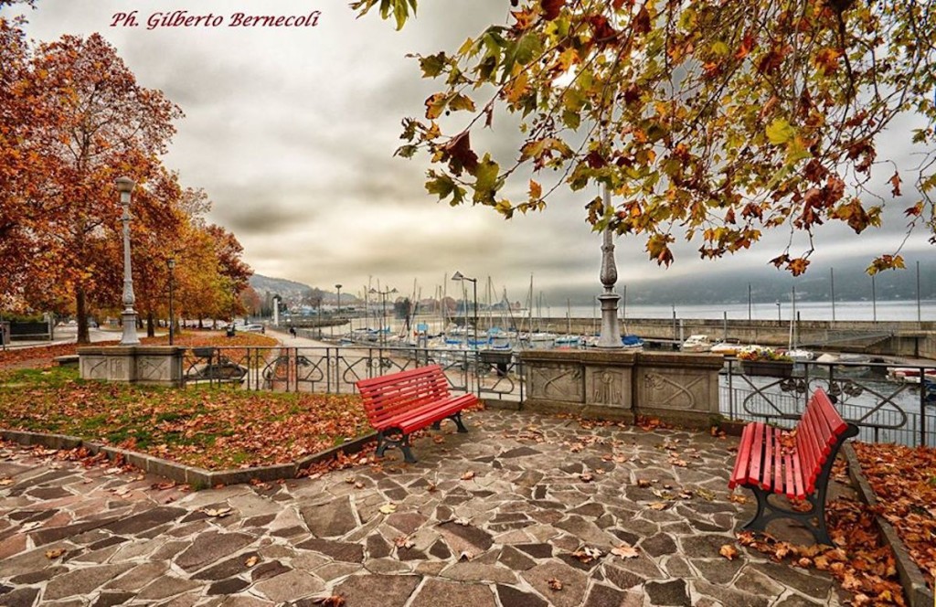 Buongiorno con la foto del giorno di Gilberto Bernecoli, Luino e l'autunno