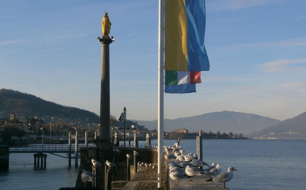 Buongiorno con la foto di Giovanni Saturnino, "Tra un volo e l'altro... al Porto Vecchio di Luino"