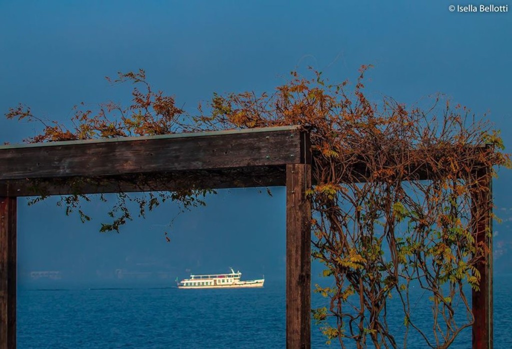 Buongiorno con la foto del giorno di Isella Bellotti, "Una cornice sul lago Maggiore"