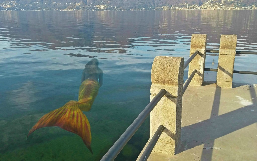 Buongiorno con la foto di Renzo Fazio, quale creatura si nasconde nelle acque del lago?
