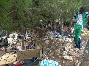 (loraverde.it)