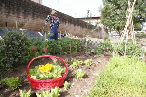 (inorto.org)