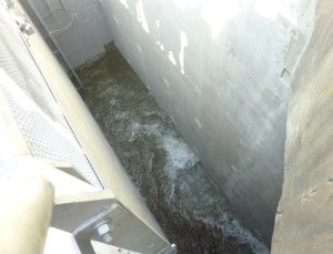 Ecco una delle vasche del corridoio ittico costruito che collega il Ceresio al Verbano