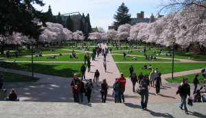 Il campus dell'University of Washington, negli Stati Uniti