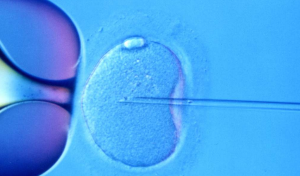 (periodofertile.it)