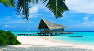 (ilnavicelloviaggi.it)