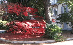 L'entrata dell'Istituto Città di Luino "C. Volontè" in via Lugano