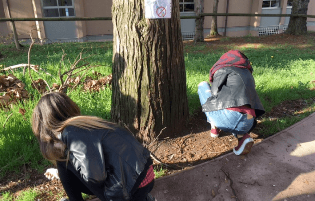 L'I.S.I.S. Luino e i progetti "Green School" e "Rifiuti alle strette" presentati in Provincia