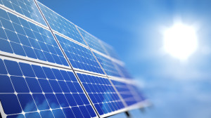 (ecodaily.org)