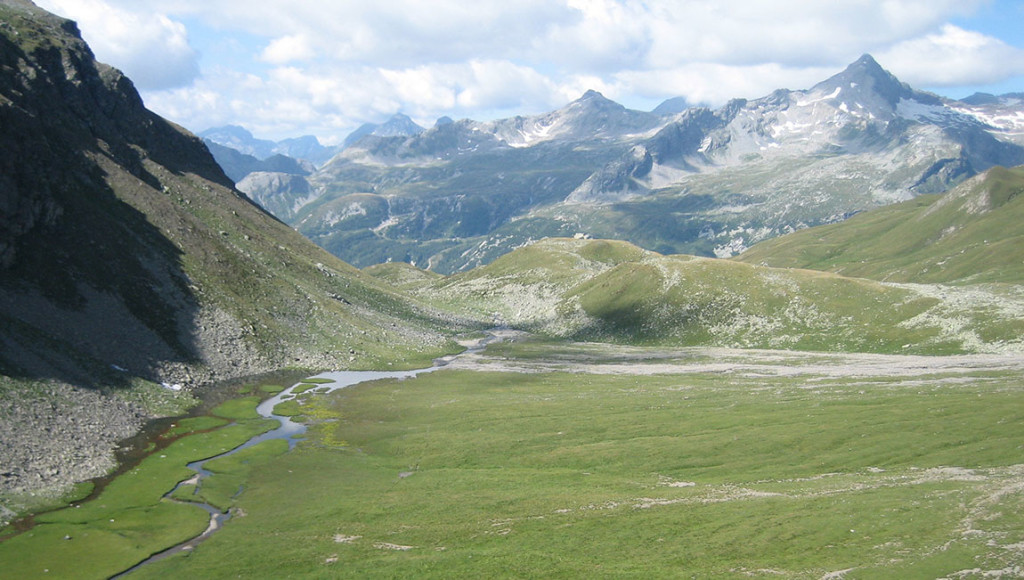 (commons.wikimedia.org)