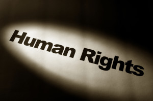 (ontariohumanrights.net)