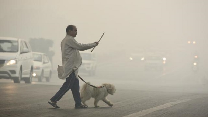 India, smog mai così alto in 17 anni. Le istituzioni: "Tenete i bambini in casa"