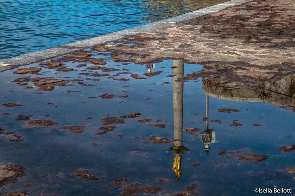 La foto del giorno di Isella Bellotti, "Riflessi in una pozzanghera in riva al lago a Luino"
