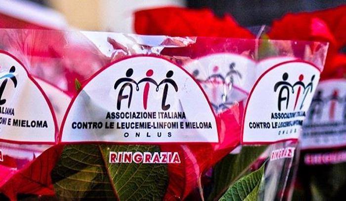 Tornano nelle piazze italiane le Stelle dell'AIL. Tra queste Luino e Lavena Ponte Tresa