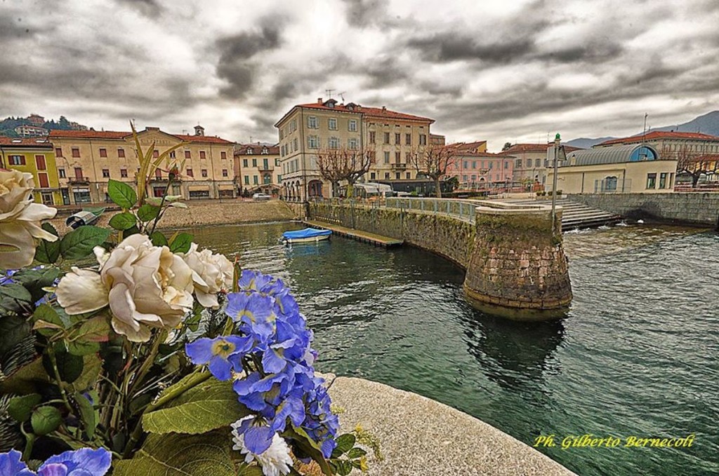 Buongiorno con la foto del giorno di Gilberto Bernecoli, fiori sul Porto Vecchio di Luino