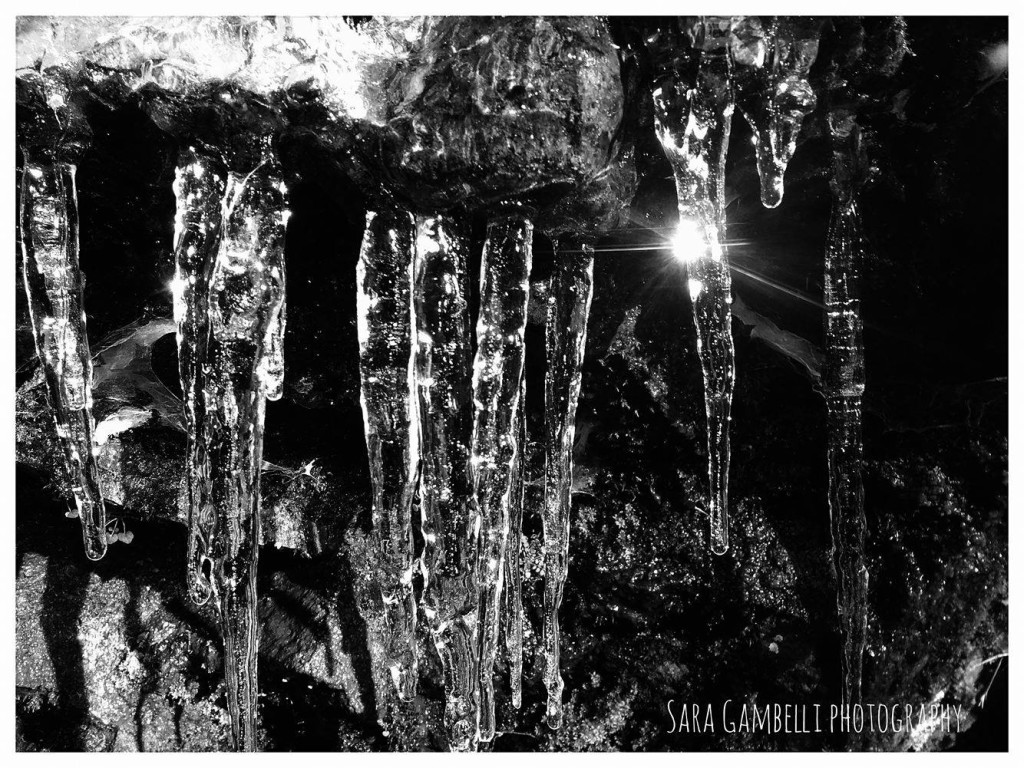 Buongiorno con la foto del giorno di Sara Gambelli, il freddo glaciale nei boschi di Brezzo