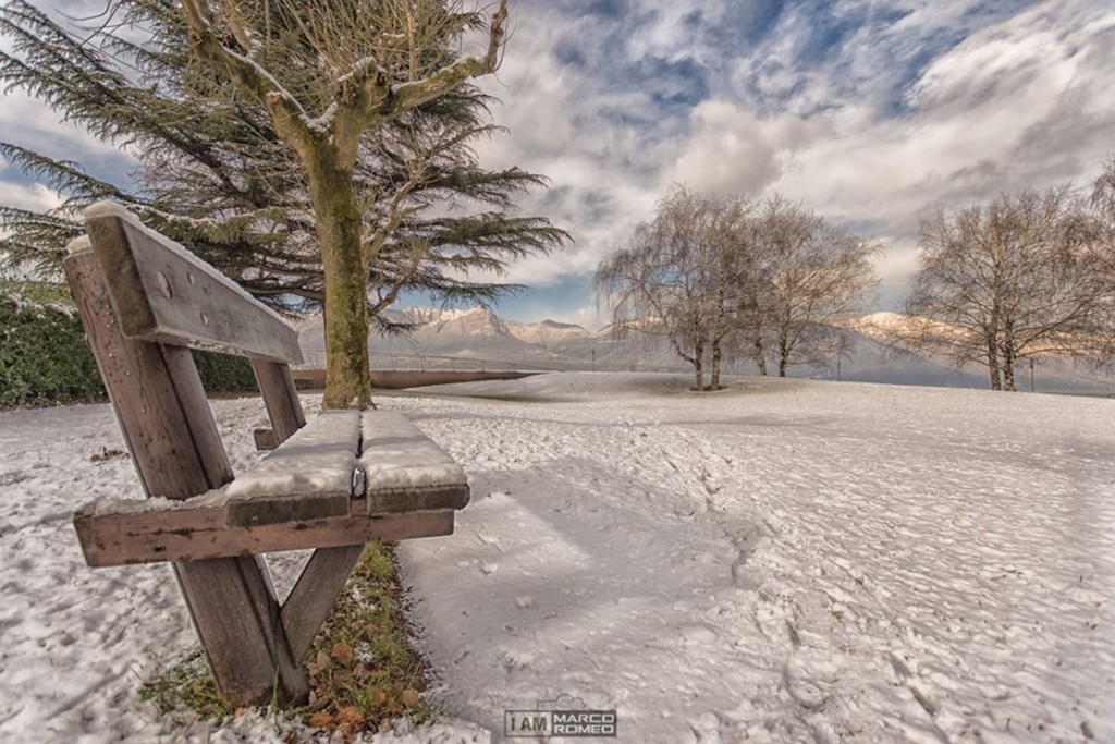 Buongiorno con la foto del giorno di Marco Romeo, "Il boschetto innevato di Germignaga"