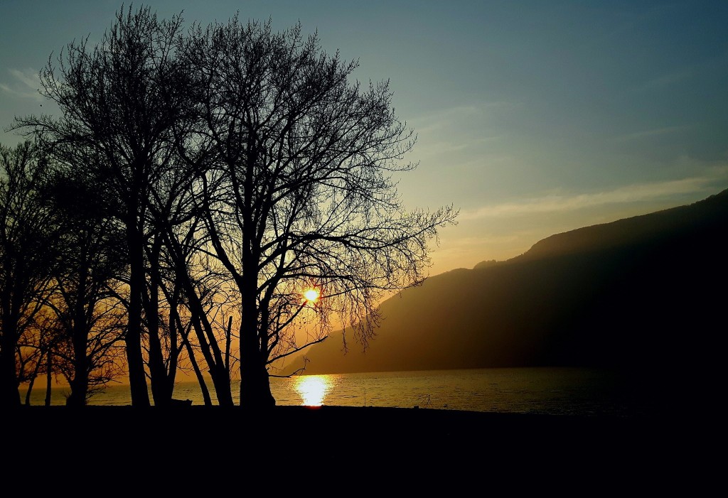Buongiorno con la foto del giorno di Laura Olivas, "Sole e oscurità sul lago"