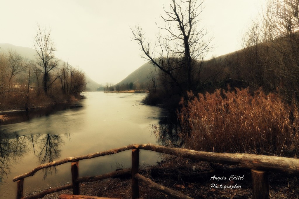 Buongiorno con la foto del giorno di Angela Cattel, dal lago di Ghirla