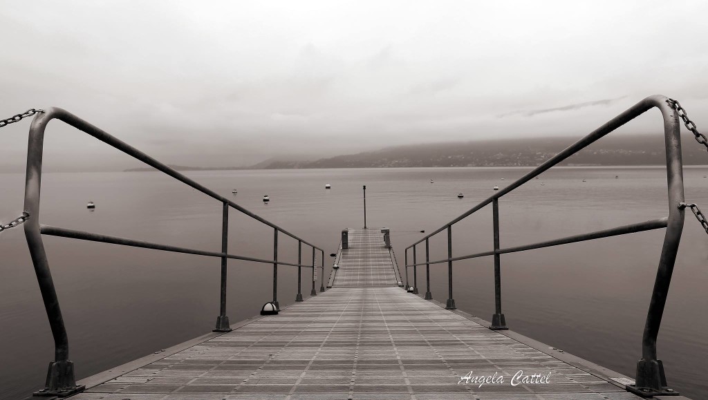 Buongiorno con la foto del giorno di Angela Cattel. In che punto del lago è stata scattata?