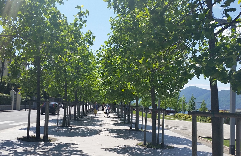 Luino: venerdì e sabato insieme ad AISU si riscopre il fascino della poesia