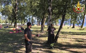 Vento forte: grosso ramo cade in spiaggia, persone allontanate al Parco Giona