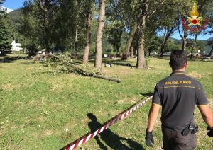 Vento forte: grosso ramo cade in spiaggia, persone allontanate al Parco Giona