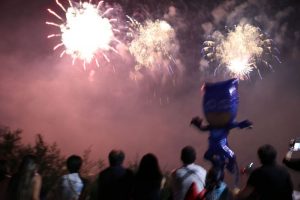 Migliaia gli spettatori a Lavena Ponte Tresa per i fuochi d'artificio, un grande successo (Foto © Davide Boldrini)