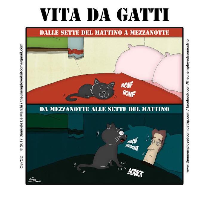 The Unemployed - Vita da gatti