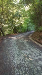 Puliti 5km di strada tra Cremenaga e Biviglione. Il sindaco Rigazzi: "In progetto la riqualificazione"