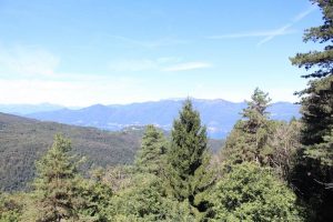 Non solo la piazza, ma anche la Pineta di Montegrino torna a vivere
