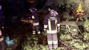 Disagi maltempo sul territorio: allagamenti, alberi in strada e tetti pericolanti