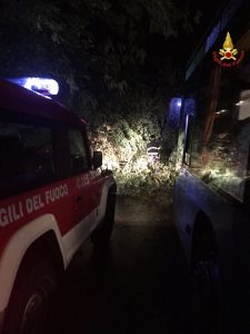 Disagi maltempo sul territorio: allagamenti, alberi in strada e tetti pericolanti