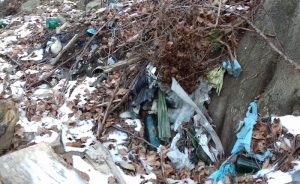 "Troppi rifiuti ed inquinamento sul territorio. Dal lago alla montagna, necessari interventi"
