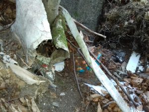 "Troppi rifiuti ed inquinamento sul territorio. Dal lago alla montagna, necessari interventi"