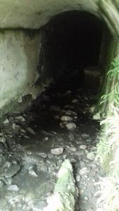 "Troppi rifiuti ed inquinamento sul territorio. Dal lago alla montagna, necessari interventi"