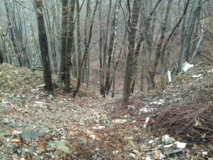"Troppi rifiuti ed inquinamento sul territorio. Dal lago alla montagna, necessari interventi"