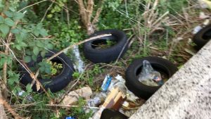 "Troppi rifiuti ed inquinamento sul territorio. Dal lago alla montagna, necessari interventi"