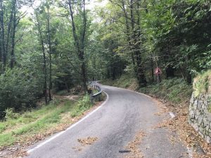 Una discarica a cielo aperto nei boschi di Dumenza, c'è anche amianto