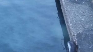 "Acqua torbida nel lago a Luino e cattivo odore al Porto Lido"