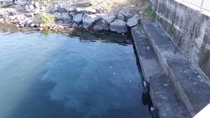 "Acqua torbida nel lago a Luino e cattivo odore al Porto Lido"