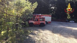 Una fungiatt si perde nei boschi di Montegrino, al via le ricerche